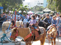 Photo Gallery Of Santa Monica Farmers Market On Main Street