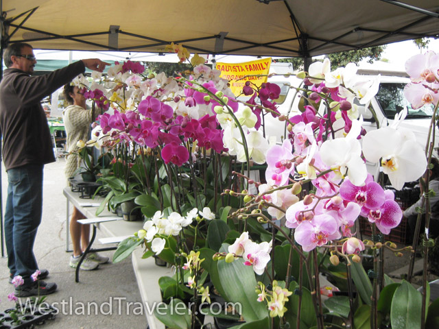 Photo Gallery Of Santa Monica Farmers Market On Main Street