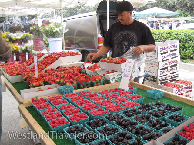 Photo Gallery Of Santa Monica Farmers Market On Main Street