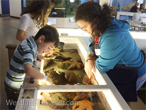 Santa Monica Pier Aquarium